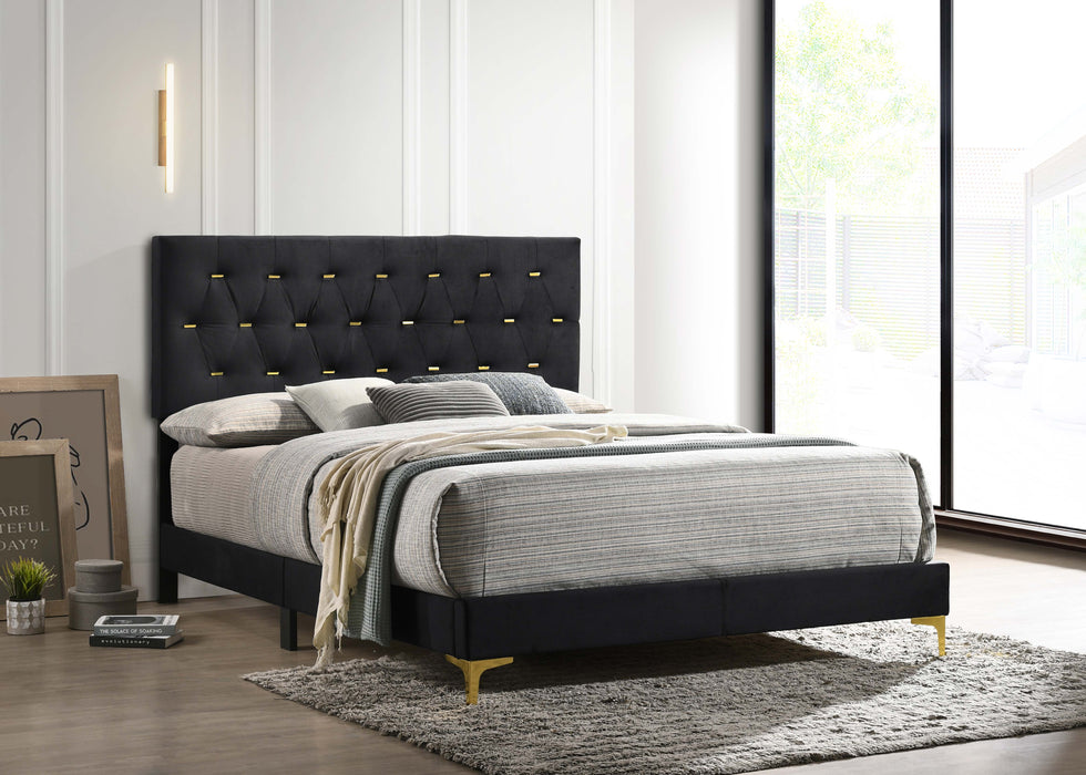 Kendall Panel Bed E.King, & Queen Black & White