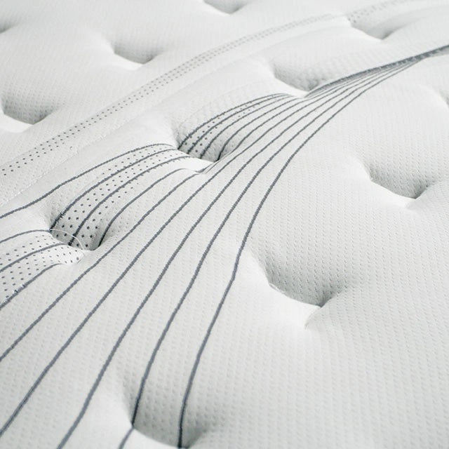 Afton 12 Euro Box Pocket Coil