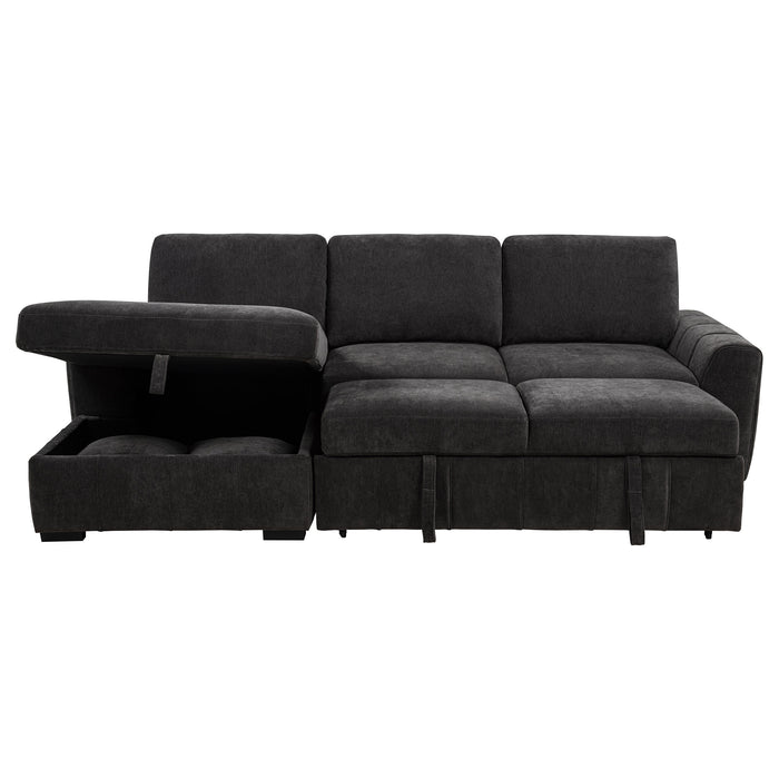 Pastrana Pull-Out Sleeper Sectional Sofa