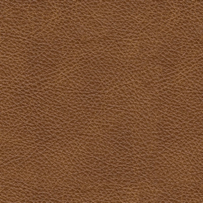 Carianna Sofa Sleeper - Red Gate Home Furnishings (Ball Ground, GA)