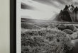 Delstone Wall Art - Red Gate Home Furnishings (Ball Ground, GA)