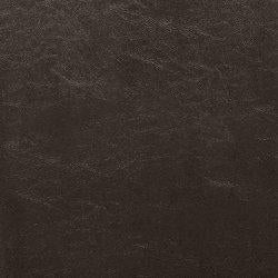 Kimonte Dining Chair Set - Red Gate Home Furnishings (Ball Ground, GA)