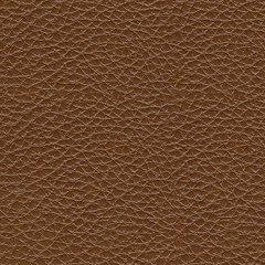 Healy Pier Power Reclining Sofa - Red Gate Home Furnishings (Ball Ground, GA)