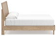 Cielden Bedroom Set - Red Gate Home Furnishings (Ball Ground, GA)
