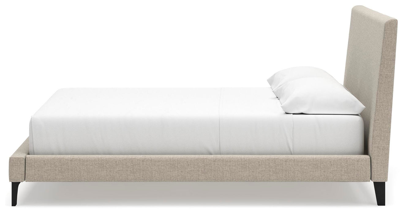 Cielden Upholstered Bed with Roll Slats - Red Gate Home Furnishings (Ball Ground, GA)
