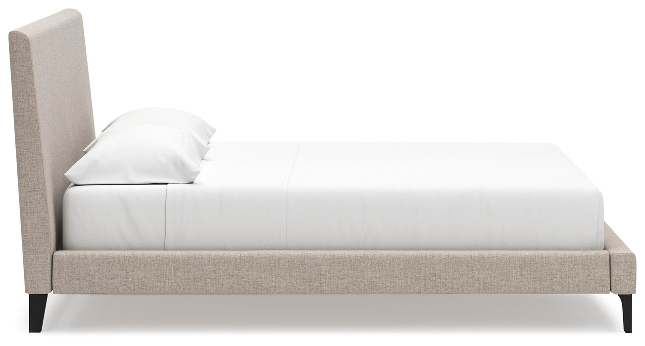 Cielden Upholstered Bed with Roll Slats - Red Gate Home Furnishings (Ball Ground, GA)