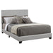Dorian Upholstered California King, E.King, & Queen Bed Black, Brown, & Grey - Red Gate Home Furnishings (Ball Ground, GA)