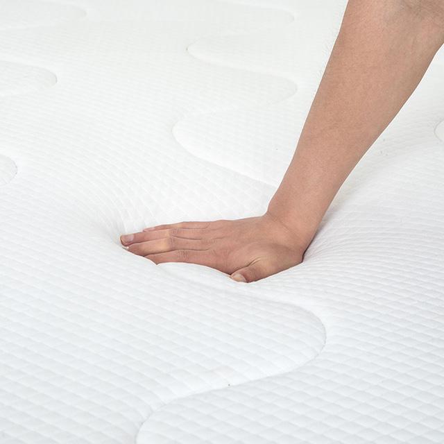 Catmint 12" Full Innerspring Mattress