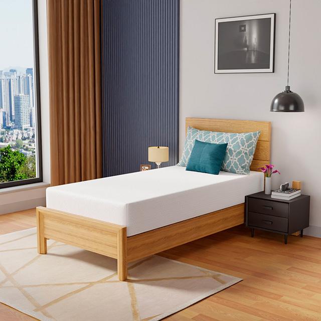 Coreopsis 10" Twin Memory Foam Wave Comfort - Red Gate Home Furnishings (Ball Ground, GA)