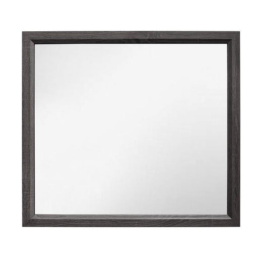 Homelegance Davi Mirror in Gray 1645-6 image