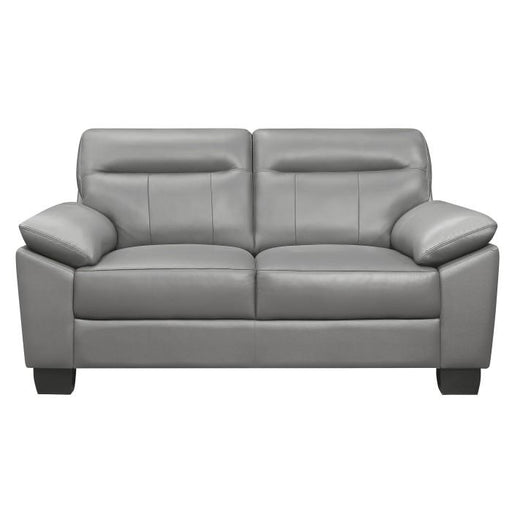 Denizen Loveseat in Gray 9537GRY-2 image