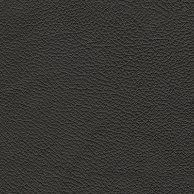 5Z-Comfort Power Reclining Sofa - Red Gate Home Furnishings (Ball Ground, GA)