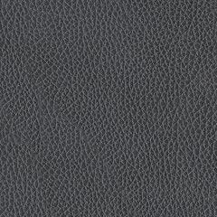 Next Move Power Reclining Sofa - Red Gate Home Furnishings (Ball Ground, GA)