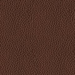 Next Move Power Reclining Sofa - Red Gate Home Furnishings (Ball Ground, GA)